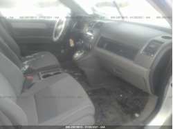 HONDA CR-V 5J6RE4H53BL032629