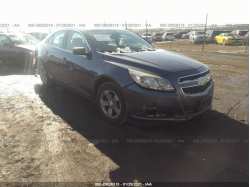 CHEVROLET MALIBU 1G11B5SA3DF218009