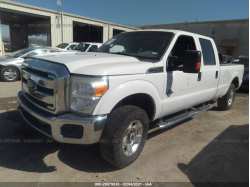 FORD SUPER DUTY F-250 SRW 1FT7W2BTXGEA59022