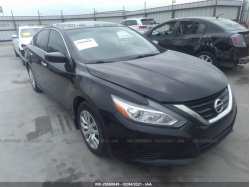 NISSAN ALTIMA 1N4AL3AP1GN322500