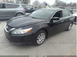 NISSAN ALTIMA 1N4AL3AP1GN322500