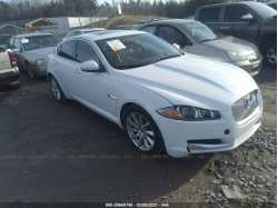 JAGUAR XF SAJWA0FB1CLS37813