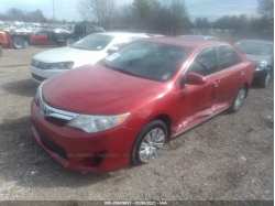 TOYOTA CAMRY 4T1BF1FK0DU653184