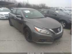 NISSAN ALTIMA 1N4AL3AP4HN364208