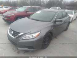 NISSAN ALTIMA 1N4AL3AP4HN364208