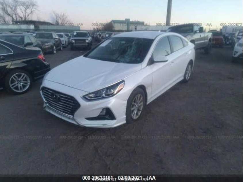 HYUNDAI SONATA 5NPE24AF6JH704444