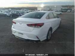 HYUNDAI SONATA 5NPE24AF6JH704444