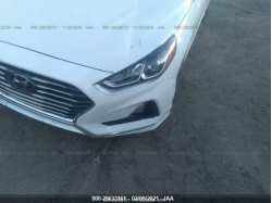 HYUNDAI SONATA 5NPE24AF6JH704444