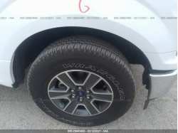 FORD F-150 1FTMF1C50KKD93275